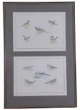 Assortment of garden birds, limited edition, 254/400 by Richard Allan Richardson, print (other), sold Apr 2023