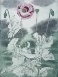 Poppy by Richard Bawden Rws Neac, etching, sold Mar 2023