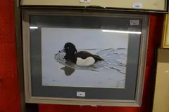 Tufted Ducks by Michael P. Jevon, 2000, Gouache on card, sold Jan 2023
