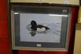 Tufted Ducks by Michael P. Jevon, 2000, Gouache on card, sold Jan 2023