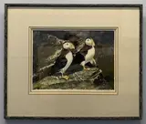 Puffins on a cliff edge by Sheila Scott, watercolour, sold Jan 2023