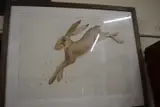 Leaping hare by Kimberley Walker, watercolour, sold Jan 2023