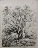 Three Trees' Original soft-ground etching, mounted, framed and glazed by John Crome, etching, sold Jan 2023