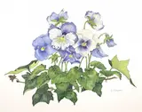 Untitled by Sara Kenyon, watercolor, sold Jan 2023