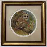 Tawny Owl by James J. Allen, gouache, offered Dec 2022