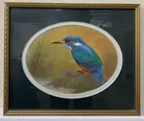 Kingfisher by James J. Allen, gouache, offered Dec 2022