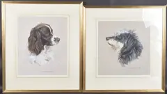 Portriat of a Spaniel and the head of another hound by Michelle Bennett Oates, gouache, offered Feb 2025