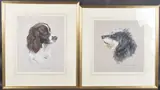 Portriat of a Spaniel and the head of another hound by Michelle Bennett Oates, gouache, offered Feb 2025