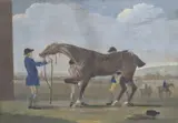 AFTER JAMES SEYMOUR Racehorse being prepared on the gallops, hand coloured mezzotint, 10" x 14" (25.5cm x 35.5cm) by Thomas Burford, print (other), sold Feb 2025