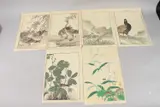 MASAHARU INOUE (act. early 20th century): BIRDS AND FLOWERS; four by Keinen Imao, print (other), sold Jan 2025