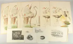 Epiphany Tree by Rachel Roberts, etching, sold Dec 2024