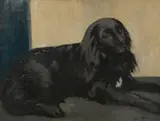A portrait of a long haired black dog by Sydney Merrills, 1923, oil on canvas, sold Nov 2024