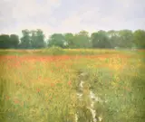 Wild poppies in a landscape by Christopher Neal, print, sold Nov 2024