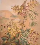 Study of a bird on a branch with a valley view beyond by Felicity Charlton, 1943, ink and watercolour, sold Oct 2024