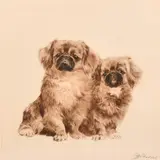 German, an etching of two small dogs by Kurt Meyer-Eberhardt, etching, offered Aug 2024