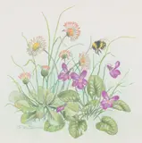 Violets and other flowers with a bumble bee by Ella Bruce, watercolour, offered Aug 2024