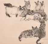 A study of eight cats in various positions by Kay Nixon, ink and wash, offered Aug 2024