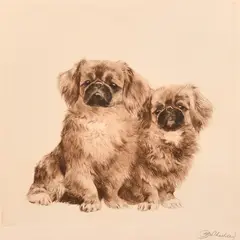 German, an etching of two Pekingese dogs by Kurt Meyer-Eberhardt, etching, offered Aug 2024