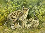 Entitled by Rena Margaret Fennessy, 1977, oil on canvas, sold Feb 2023