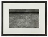 Oxwich Bay, Gower by Patricia Aithie, 2010, charcoal, sold Oct 2022