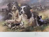 Print - sheepdogs and sheep with handlers in the by Mick Cawston coloured limited edition, print, offered Aug 2022