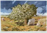 Curwen Studios lithograph - Welsh landscape with sheep by David Tress limited edition, lithograph, sold Jul 2022