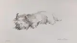 West Highland Terrier by William Selwyn limited edition print, print, sold Jun 2022