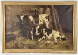 oil on canvas - Ayrshire calves in a barn, signed, 50 x by David Gauld, oil on canvas, sold Jun 2022
