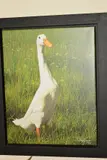 Dottie by Paul James, print, sold Jan 2020
