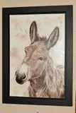 Smart ass by Toni Hargreaves, oil on canvas, sold Jan 2020