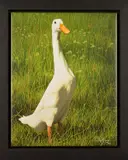 Dottie by Paul James, print, offered Jan 2020