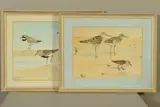 Untitled by R.A. Richardson, watercolor, sold Dec 2019