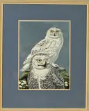 'Snowy Owls', a limited edition linocut print, 35/35, signed, by Robert Gillmor, linocut, sold Dec 2019