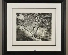 Naked vine by John Swannell, giclee, sold Nov 2019