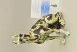 ON GUARD' a cold cast porcelain limited edition sculpture of a dog 22/295, with certificate and box, approximate height 37cm (no obvious damage) by April Shepherd, sculpture, sold Oct 2019