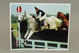 (rider unknown) clearing a hurdle by Desert Orchid Colour Photograph, PHOTOGRAPH, sold Oct 2019