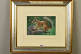 Red squirrel by Joel Kirk, pastel, sold Jul 2019