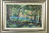 Bluebell shadows by Timmy Mallett, print, sold Jul 2019