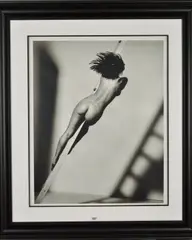 Ladder series no 3 by John Swannell, print, sold Jun 2019