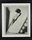 Ladder series no 3 by John Swannell, print, sold Jun 2019
