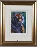 Tiger in the sun by Rolf Harris, print, sold Jun 2019