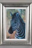 Young zebra by Rolf Harris, print, sold Jun 2019
