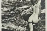 Naked landscape, plate 43 by John Swannell, print, sold Jun 2019