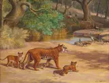 Tigers and peacocks Signed Oil on board 22 x 30cm ++Good restored condition by John Charles Dollman, Oil on board, sold Jun 2018