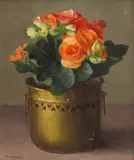 Still lifes of fruit and a still life of a begonia in a brass pot by Gerald Norden, oil on board, offered Jun 2018
