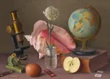 Still life with natural history subjects by Gerald Norden, oil on board, offered Jun 2018