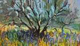 Sunlight through an olive tree Incised signature, dated 98 and inscribed For Tony, also titled and dated verso Oil on board 56 x 96cm ++Good condition by Philip Niel Erskine, Oil on board, sold Jun 2018