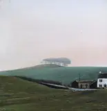 Wood on a Hill Signed and titled Oil on canvas 30 x 30cm by Peter Brook, Wood on a Hill, sold Jun 2018