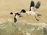 Golden Eye Drakes, Winter Signed with initials Watercolour 18 x 25.5cm Provenance: SG Gallery label verso, No by Richard B. Talbot Kelly, Watercolour, sold Jun 2018