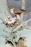 Untitled by Richard B. Talbot Kelly, Watercolour, sold Jun 2018